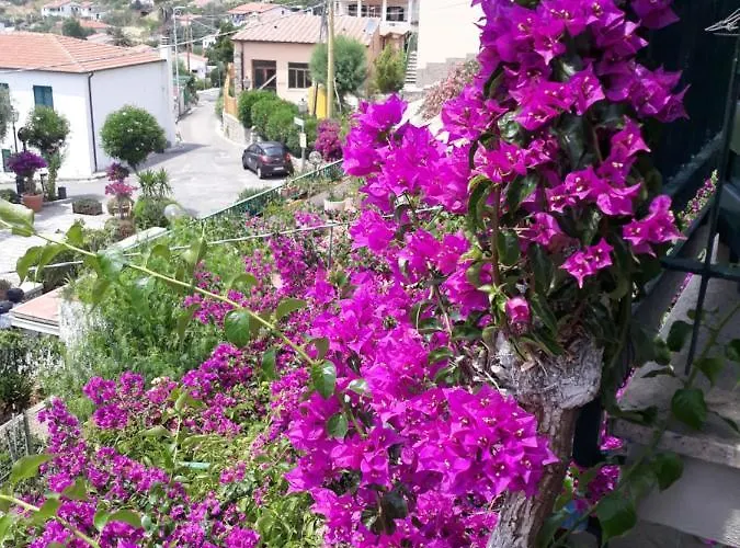 Casa Armida Casa de Férias *